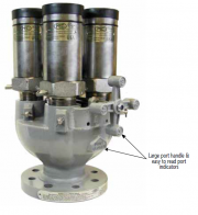 Multi_Port_Relief_Valve_Manifold_picure.png